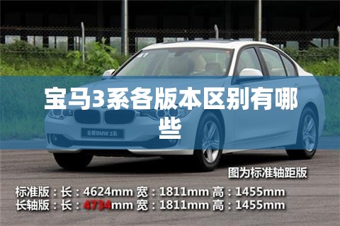 【金骏眉是什么茶/金骏眉是什么茶类】