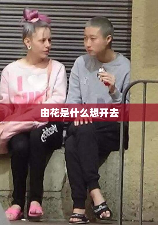 由花是什么想开去