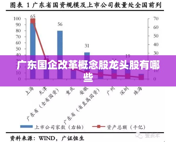 广东国企改革概念股龙头股有哪些