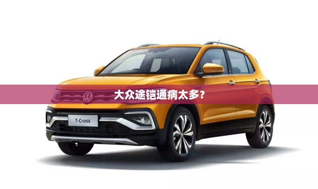 大众途铠通病太多？