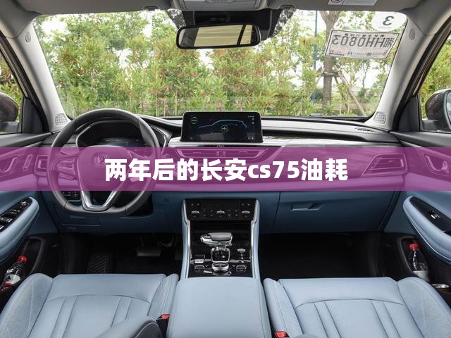 大众polo优点（大众polo这款车咋样）