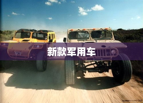 新款军用车