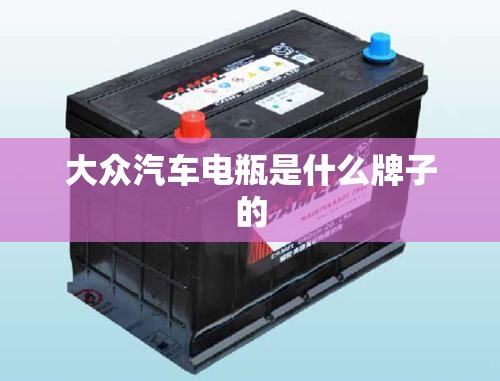 大众汽车电瓶是什么牌子的