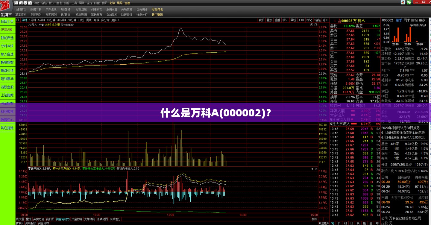 什么是万科A(000002)？