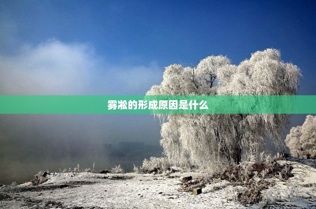 雾凇的形成原因是什么