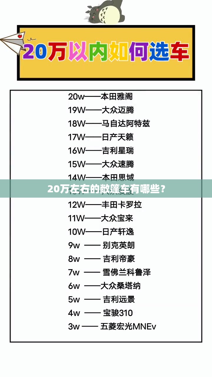 雅力士可以开20年吗