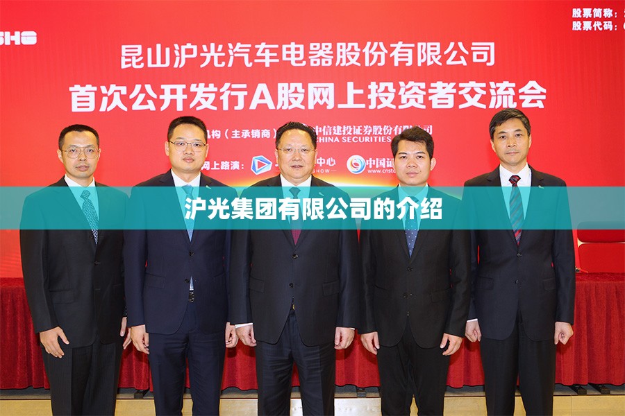 沪光集团有限公司的介绍