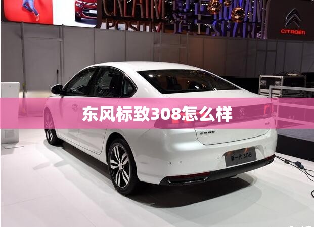 mini选装包介绍