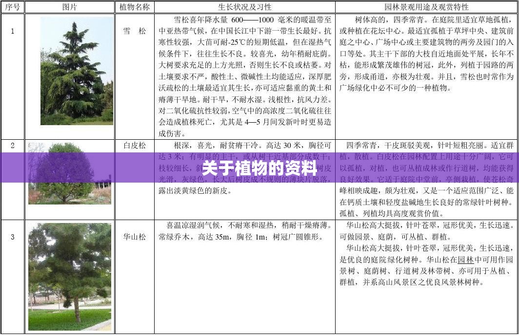 关于植物的资料