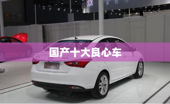 国产十大良心车