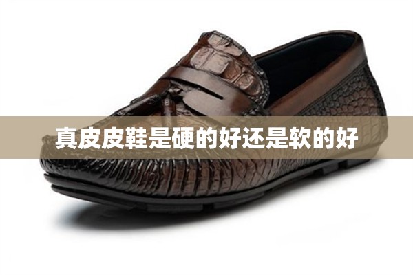 野钓什么天气鱼开口？