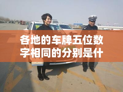 各地的车牌五位数字相同的分别是什么车？