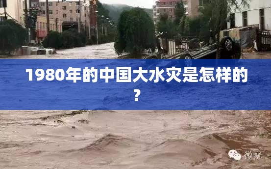 1980年的中国大水灾是怎样的？