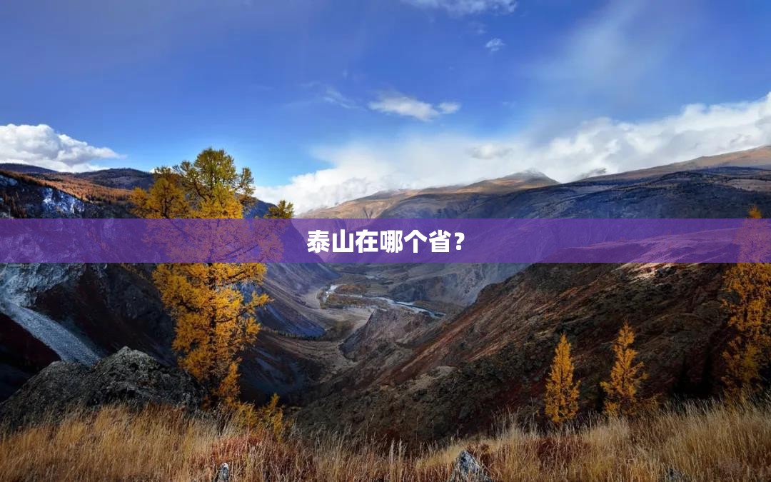 泰山在哪个省？