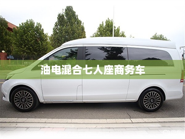 油电混合七人座商务车