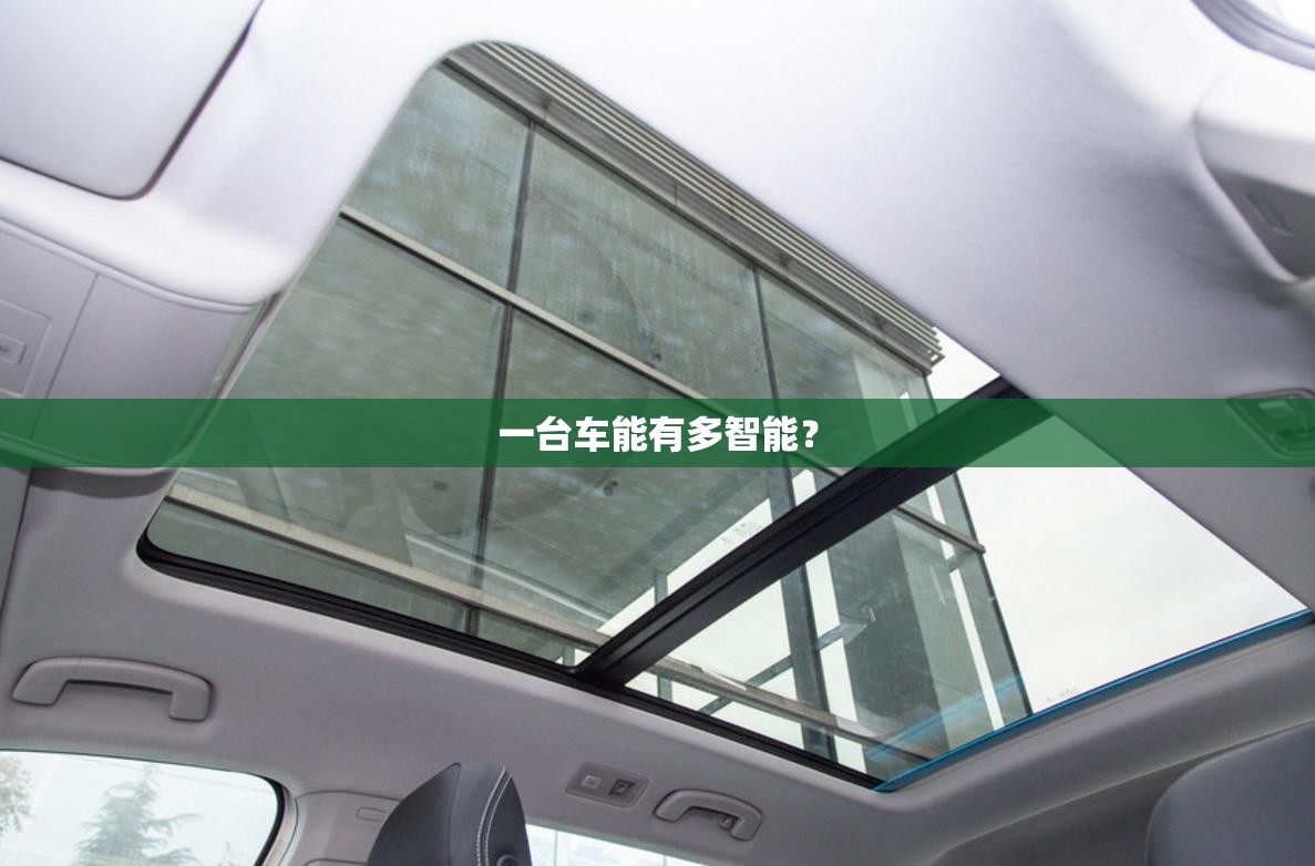 汽车车身怎么查看这俩汽车的排放标准(国四或者国五)
