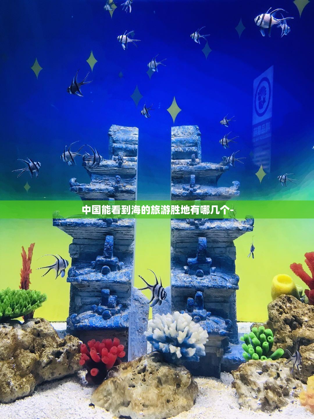 中国能看到海的旅游胜地有哪几个-