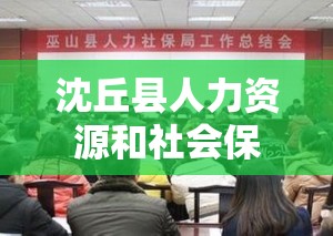 沈丘县人力资源和社会保障局的电话是多少