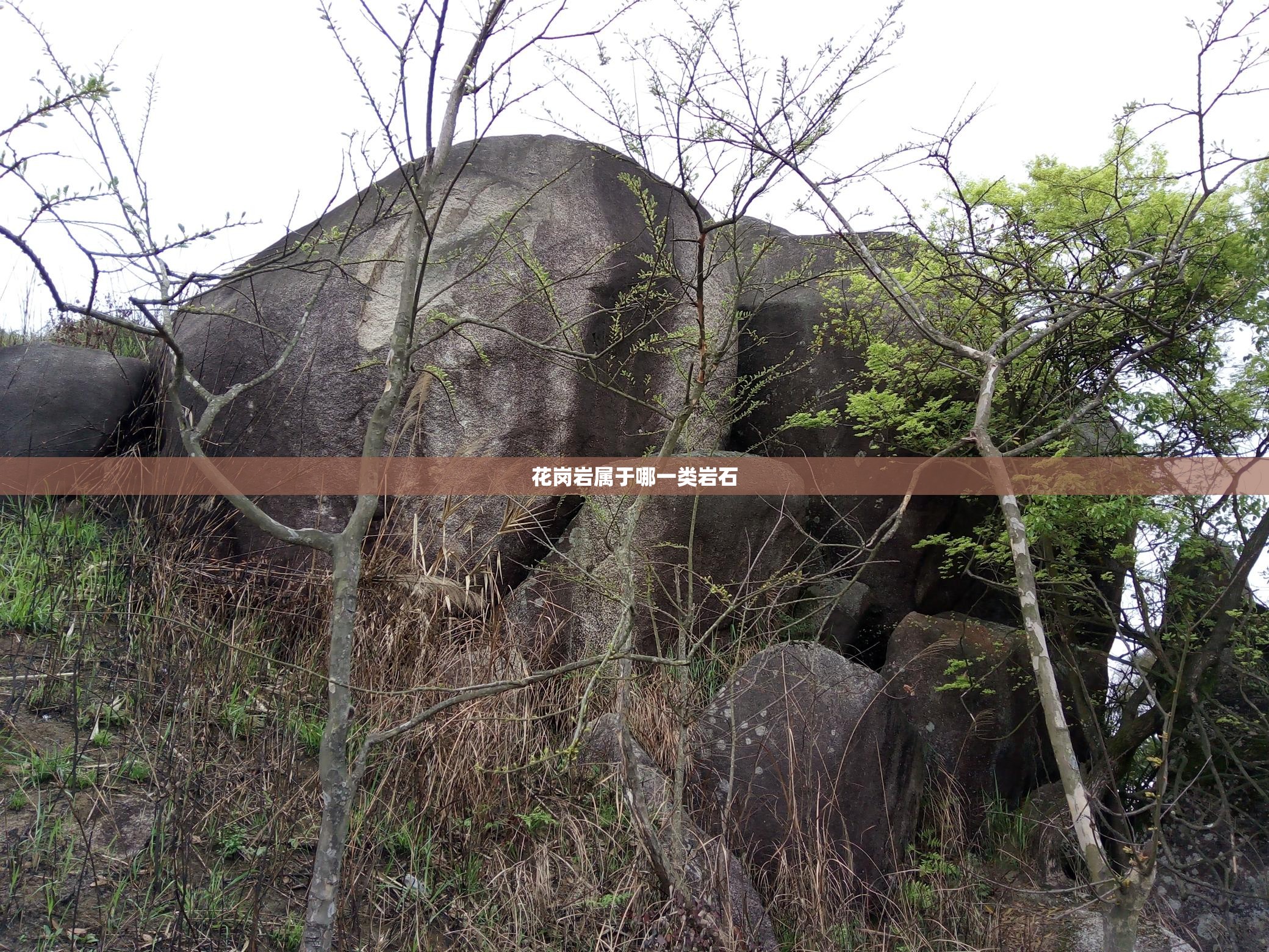 征集室内设计工作室名称