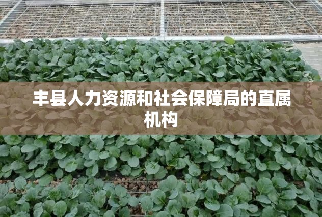 明天早上会下雨吗-