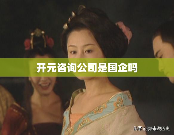 开元咨询公司是国企吗