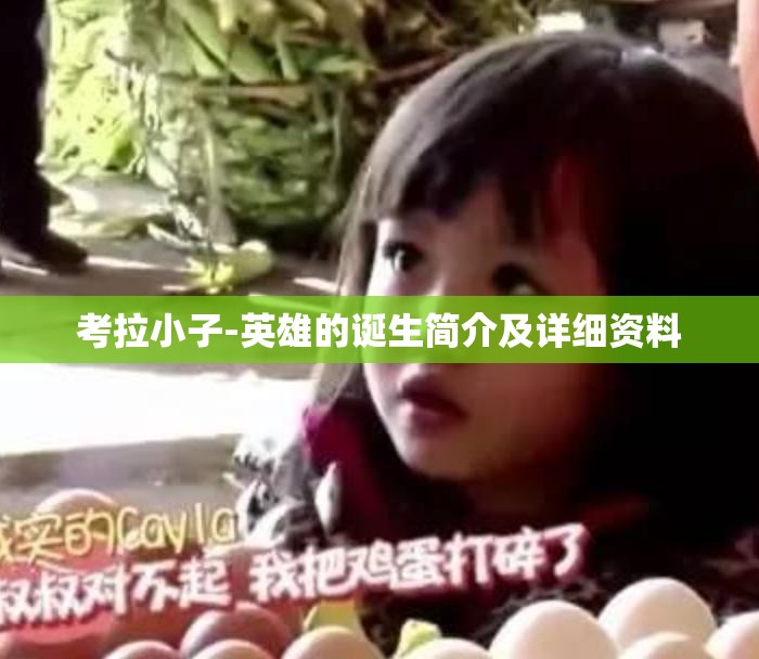 考拉小子-英雄的诞生简介及详细资料