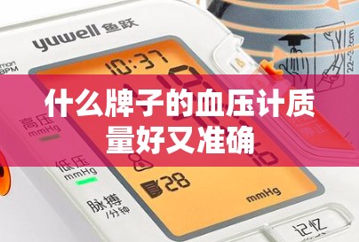 什么牌子的血压计质量好又准确