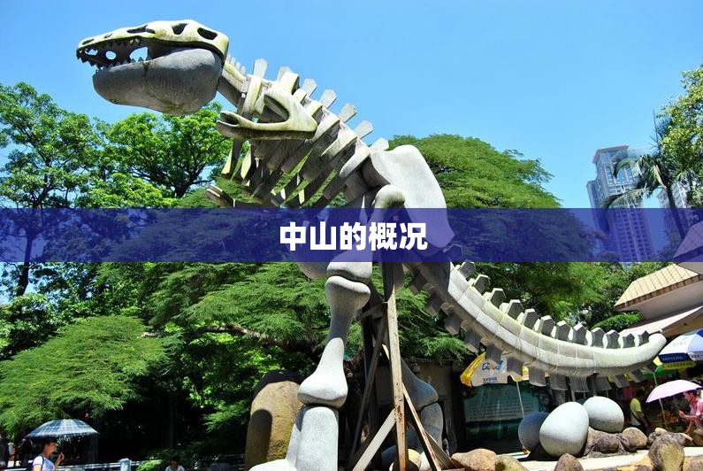 雅力士汽车油门灵活怎么调整