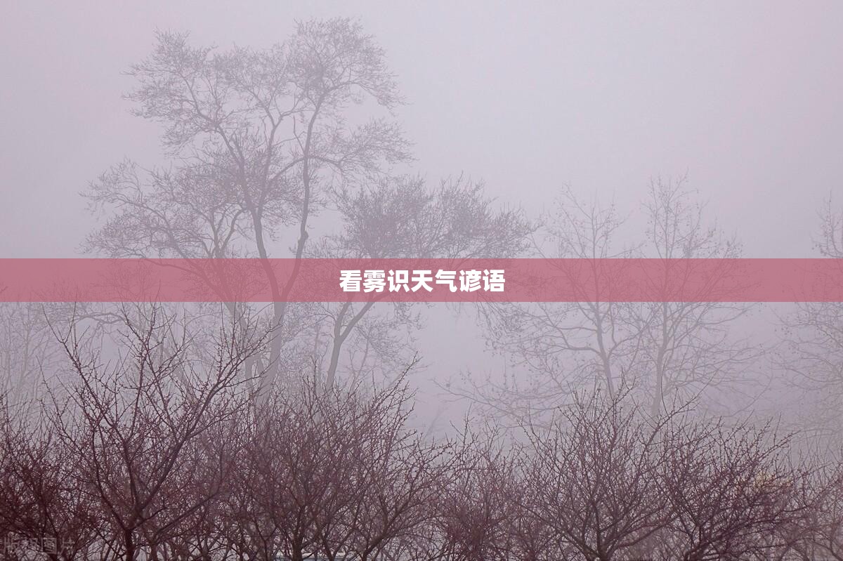 铝合金门窗价格及十大品牌排名