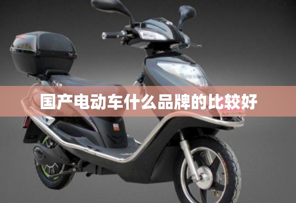 国产电动车什么品牌的比较好 国产电动车什么品牌的比较好