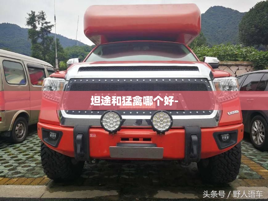 坦途和猛禽哪个好-