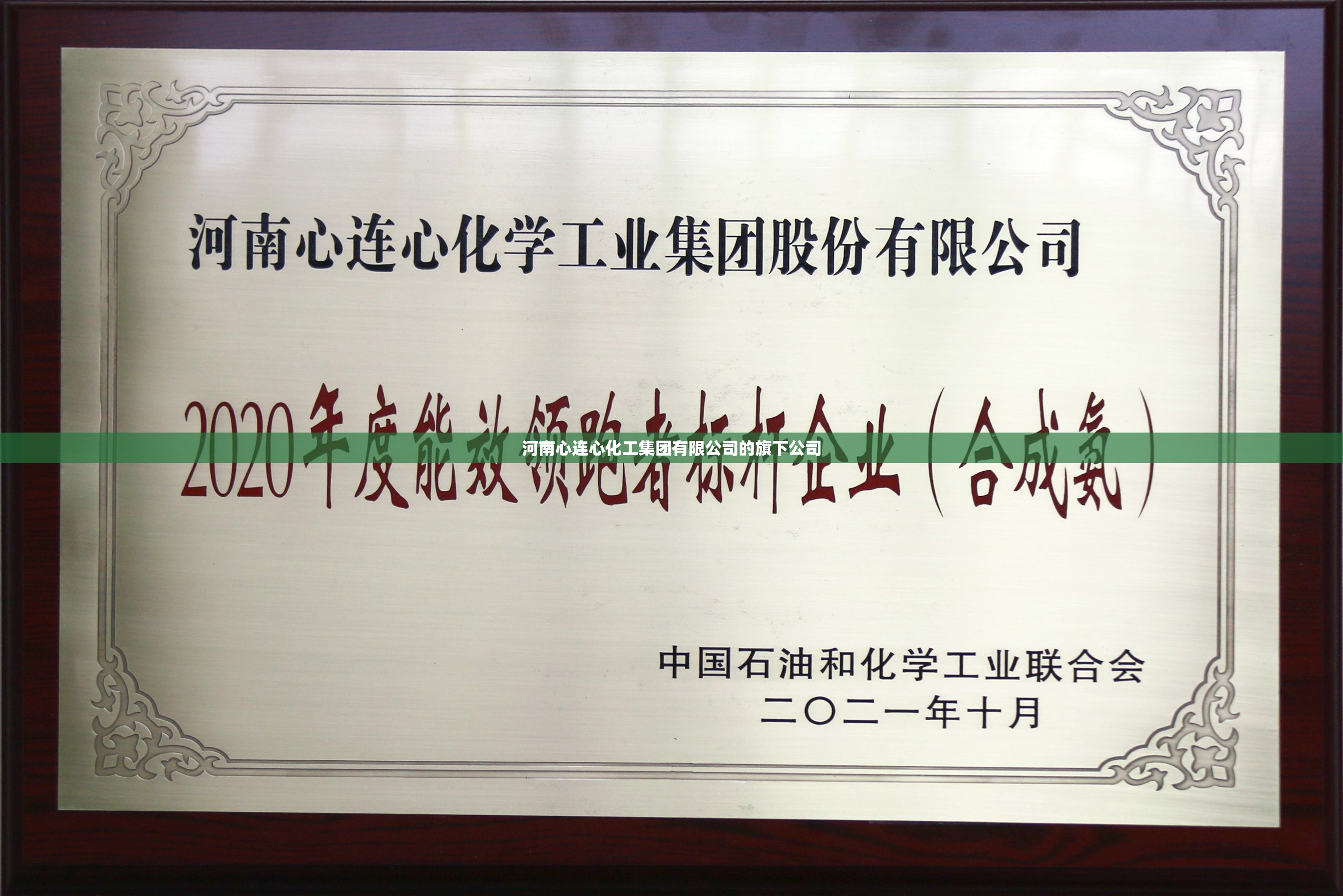 河南心连心化工集团有限公司的旗下公司
