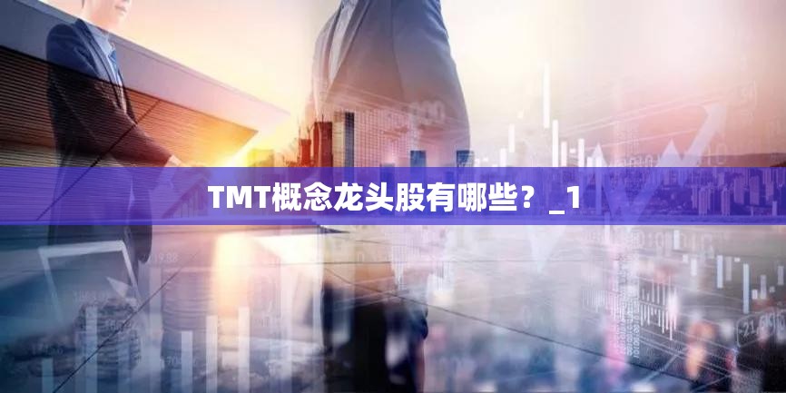 TMT概念龙头股有哪些？_1