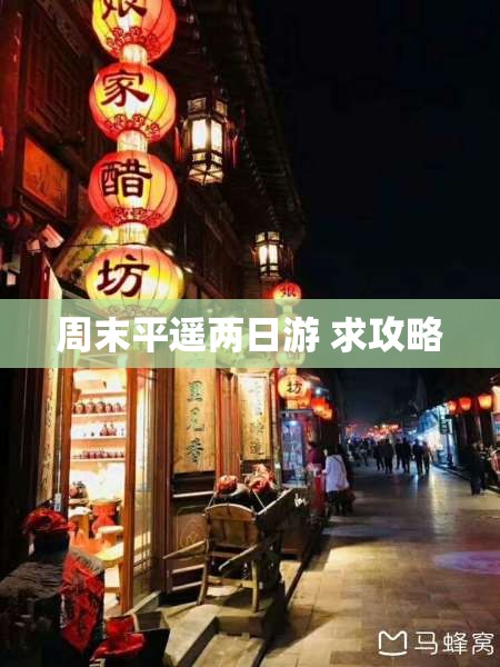 双环车图片（双环汽车百度百科）