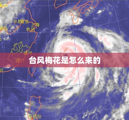 台风梅花是怎么来的 台风梅花是怎么来的