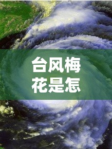 坐飞机选空客还是波音,坐飞机最忌三种衣服