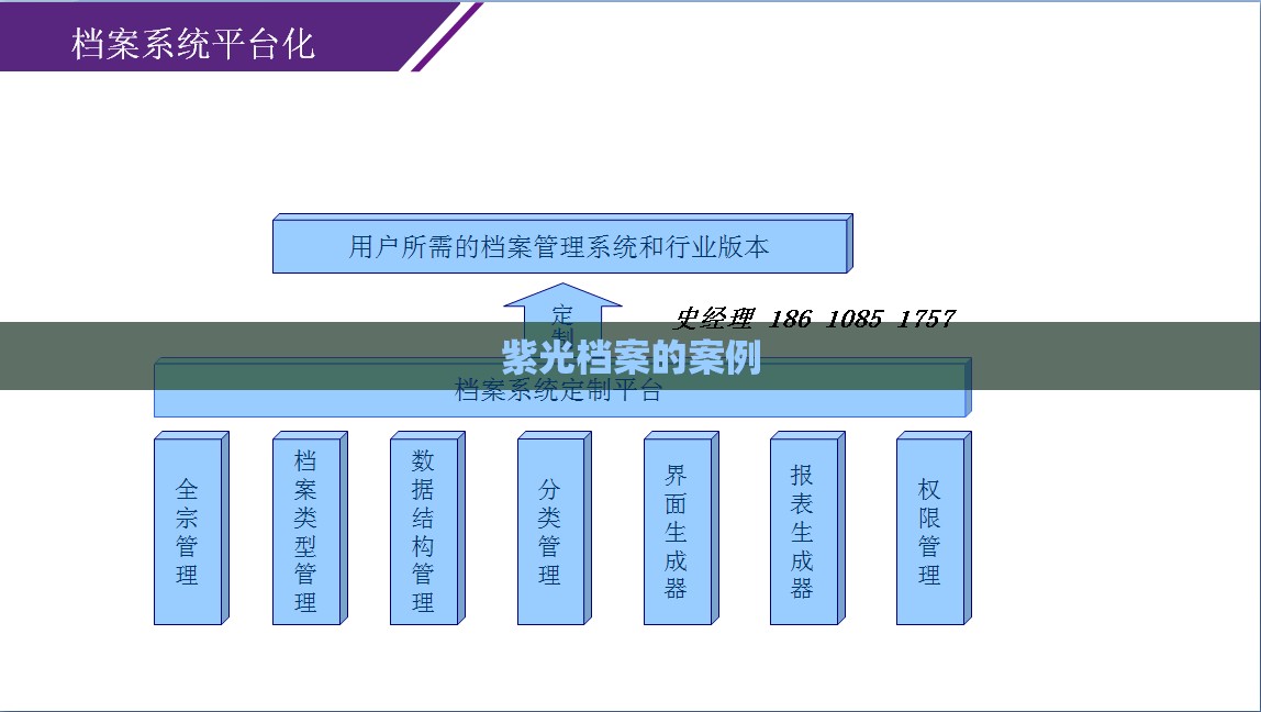 紫光档案的案例