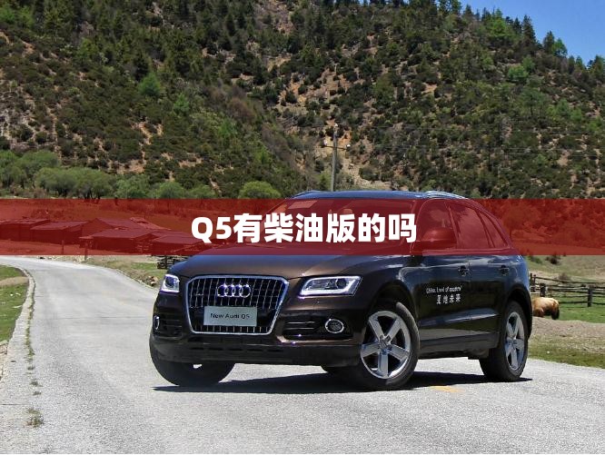 Q5有柴油版的吗