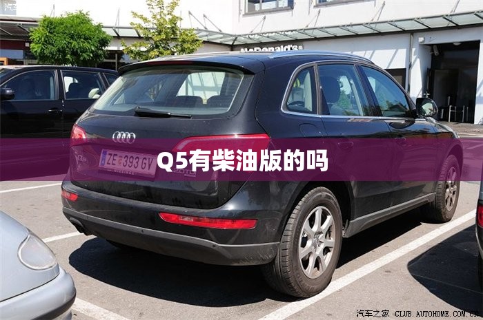 Q5有柴油版的吗