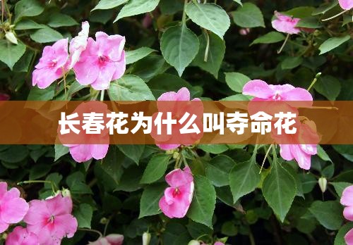 瑞麟湾温泉门票含餐（瑞麟湾酒店）