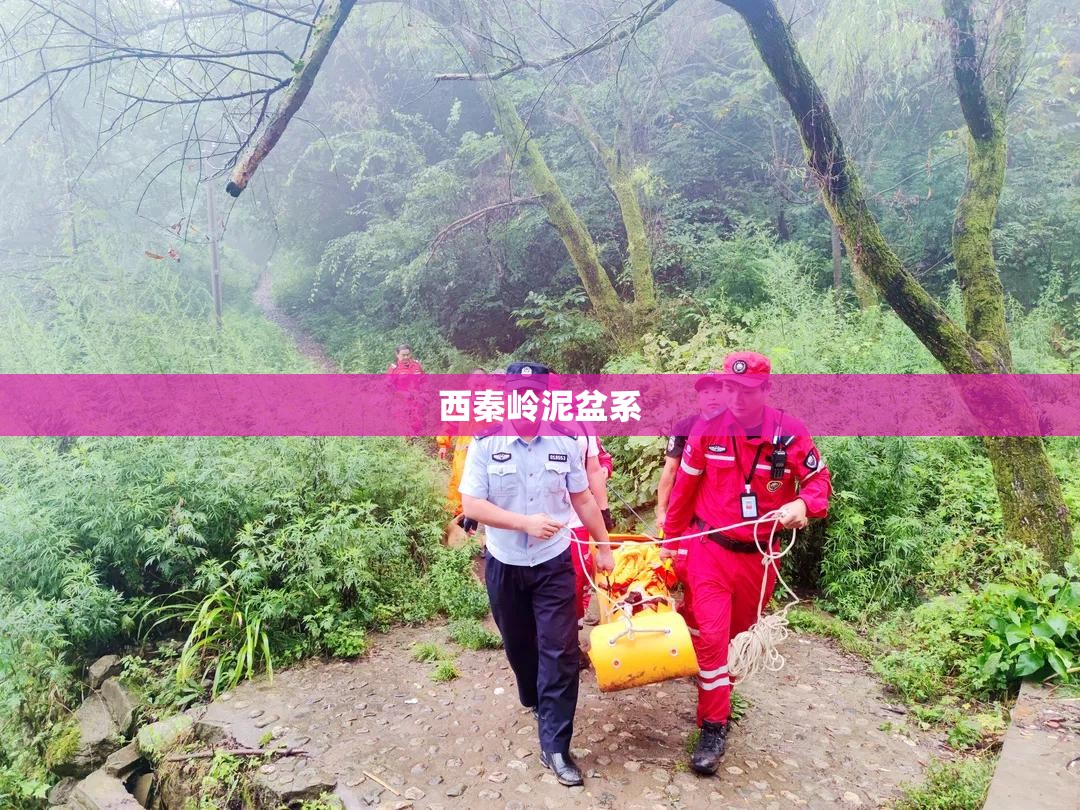 观致5怎么连接蓝牙音乐（观致5怎么连蓝牙放歌）