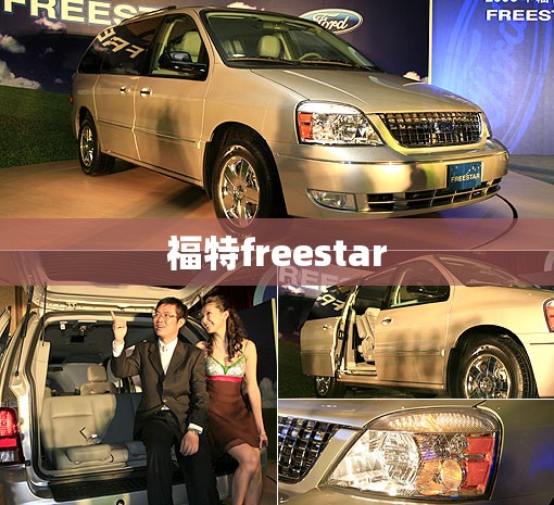福特freestar