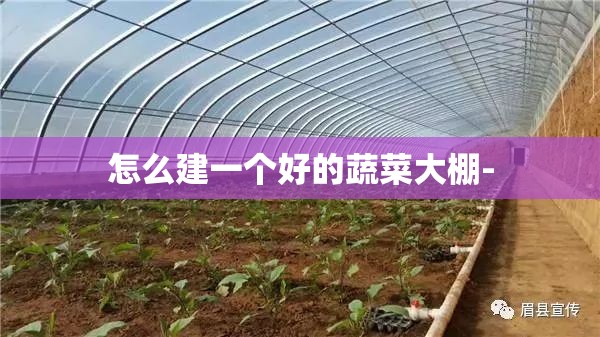 怎么建一个好的蔬菜大棚- 怎么建一个好的蔬菜大棚-