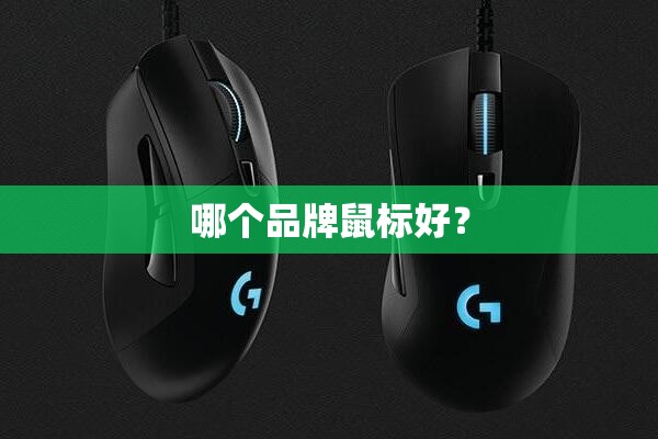 哪个品牌鼠标好? 哪个品牌鼠标好?