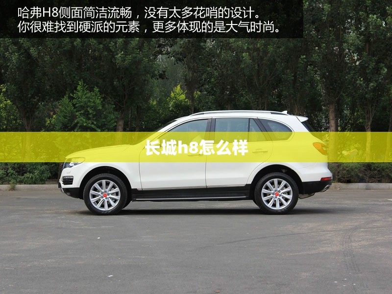 长城h8怎么样