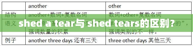 弘信电子/弘信电子主营业务