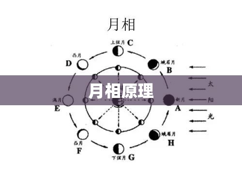 【恒大的最新消息/恒大最新消息今天新闻】