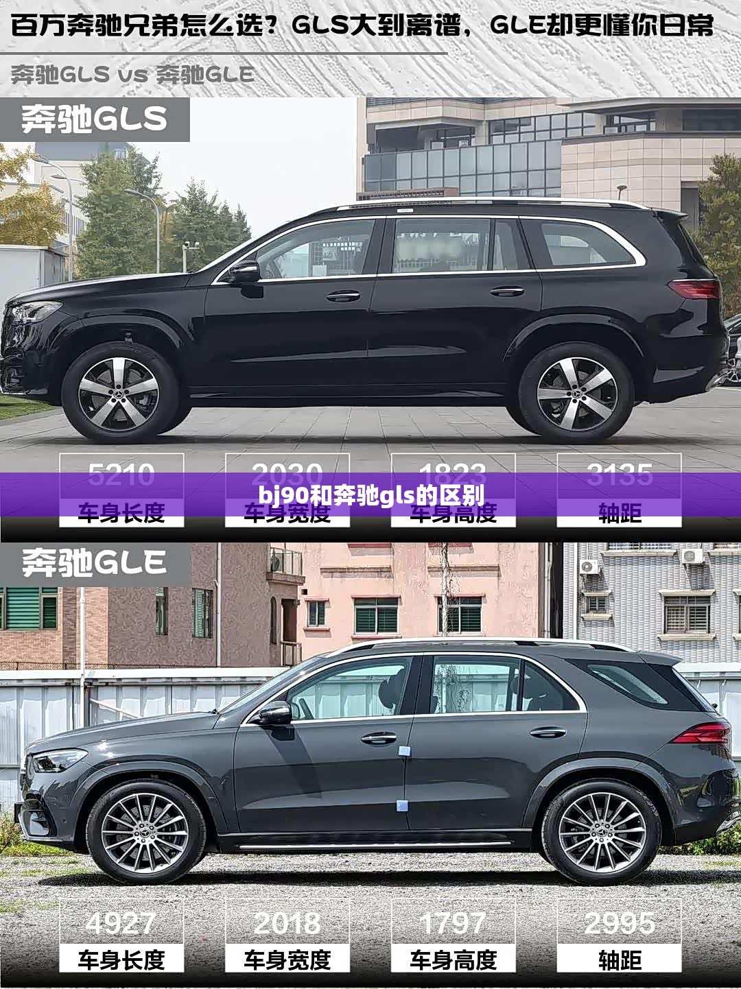 舍得股票还能买吗（舍得股票今后发展前景）