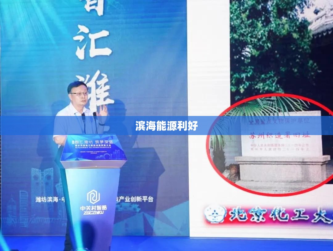 滨海能源利好