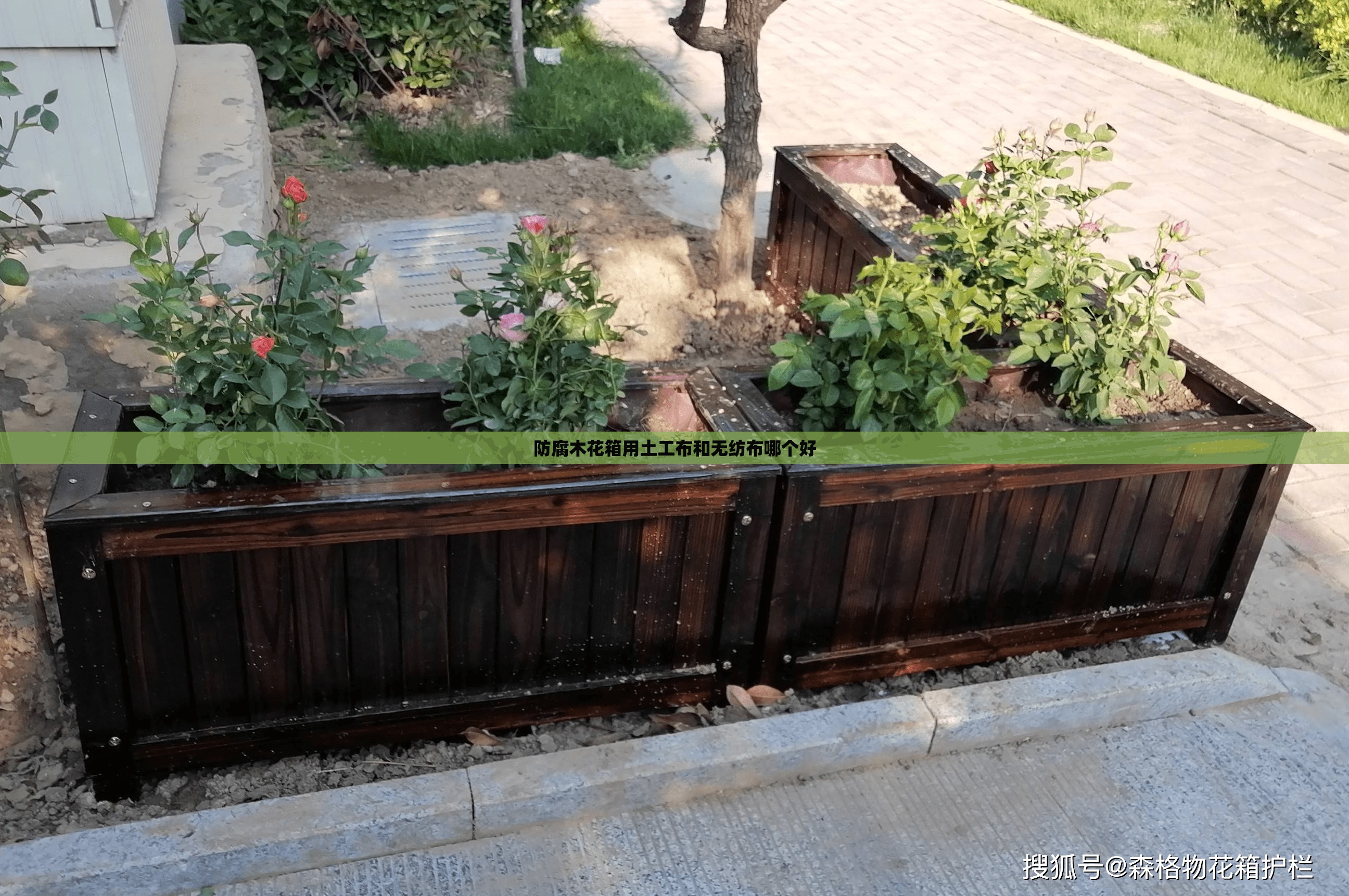 新加坡股市行情查询（新加坡股市实时行情东方财富网）